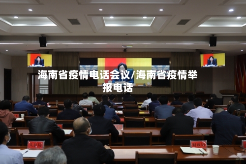 海南省疫情电话会议/海南省疫情举报电话-第2张图片
