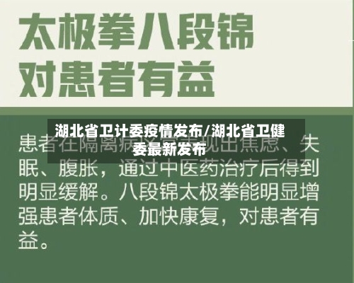 湖北省卫计委疫情发布/湖北省卫健委最新发布-第3张图片