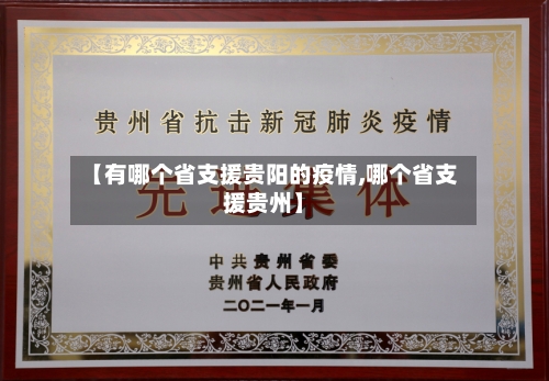 【有哪个省支援贵阳的疫情,哪个省支援贵州】-第1张图片