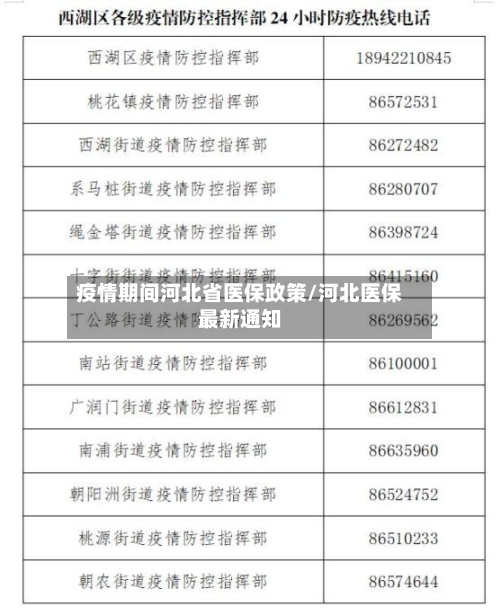 疫情期间河北省医保政策/河北医保最新通知-第2张图片