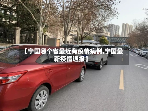 【宁国哪个省最近有疫情病例,宁国最新疫情通报】-第1张图片