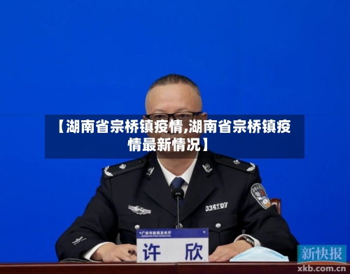 【湖南省宗桥镇疫情,湖南省宗桥镇疫情最新情况】-第2张图片