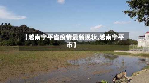 【越南宁平省疫情最新现状,越南宁平市】-第3张图片