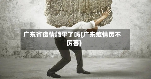广东省疫情躺平了吗(广东疫情厉不厉害)-第3张图片