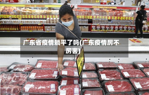 广东省疫情躺平了吗(广东疫情厉不厉害)-第2张图片