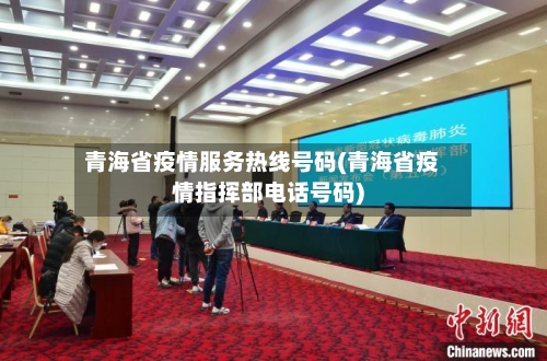 青海省疫情服务热线号码(青海省疫情指挥部电话号码)-第1张图片