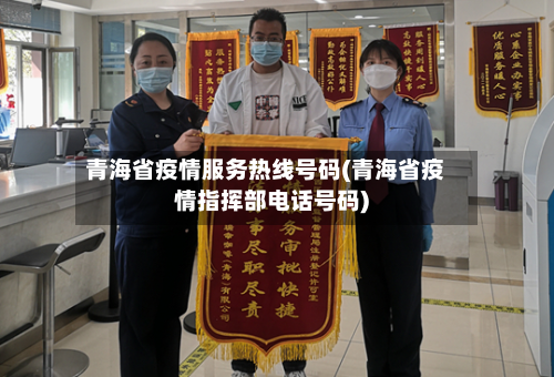 青海省疫情服务热线号码(青海省疫情指挥部电话号码)-第2张图片