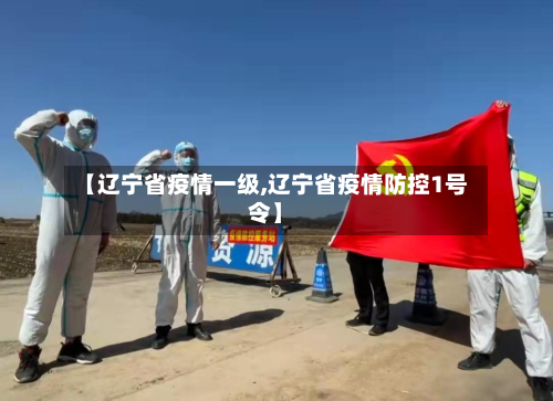 【辽宁省疫情一级,辽宁省疫情防控1号令】-第1张图片