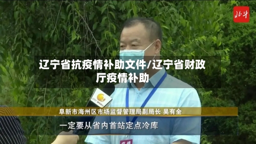 辽宁省抗疫情补助文件/辽宁省财政厅疫情补助-第3张图片