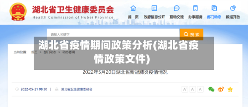 湖北省疫情期间政策分析(湖北省疫情政策文件)-第1张图片