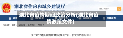 湖北省疫情期间政策分析(湖北省疫情政策文件)-第3张图片