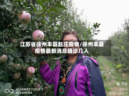 江苏省徐州丰县赵庄疫情/徐州丰县疫情最新消息确诊几人-第1张图片