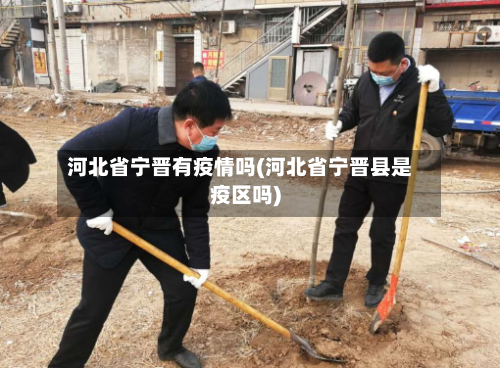 河北省宁晋有疫情吗(河北省宁晋县是疫区吗)-第3张图片