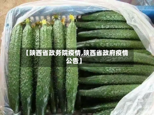 【陕西省政务院疫情,陕西省政府疫情公告】-第1张图片