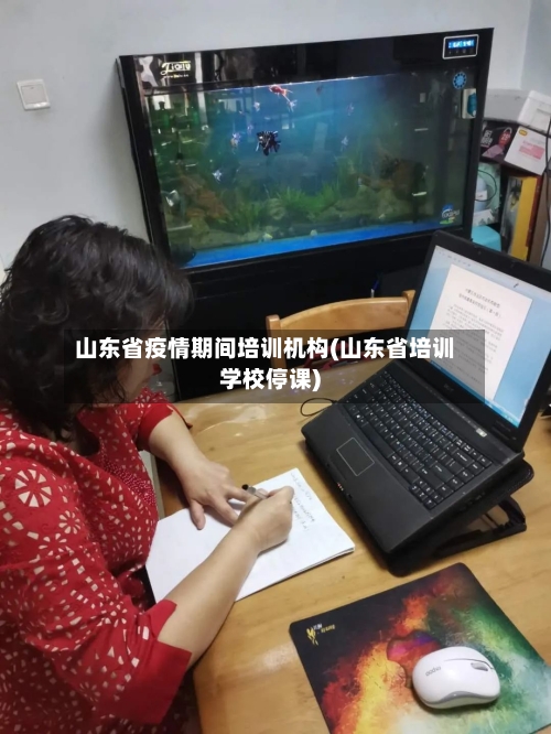 山东省疫情期间培训机构(山东省培训学校停课)-第1张图片