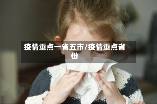 疫情重点一省五市/疫情重点省份-第1张图片