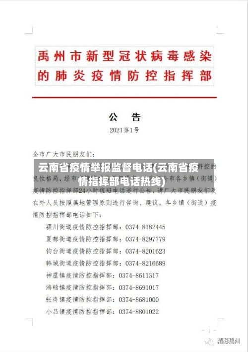 云南省疫情举报监督电话(云南省疫情指挥部电话热线)-第1张图片