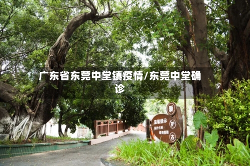 广东省东莞中堂镇疫情/东莞中堂确诊-第1张图片