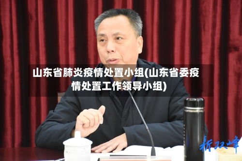山东省肺炎疫情处置小组(山东省委疫情处置工作领导小组)-第2张图片