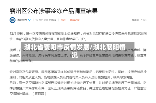 湖北省襄阳市疫情发展/湖北襄阳情况-第2张图片