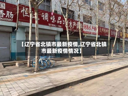 【辽宁省北镇市最新疫情,辽宁省北镇市最新疫情情况】-第2张图片