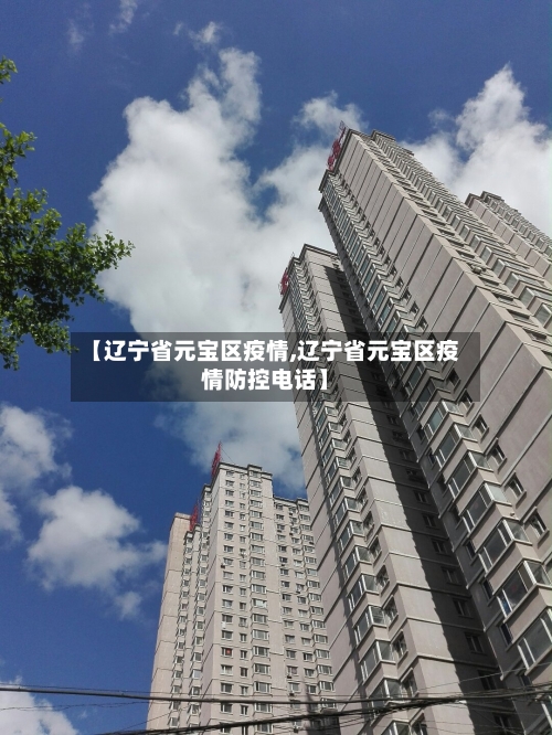 【辽宁省元宝区疫情,辽宁省元宝区疫情防控电话】-第1张图片