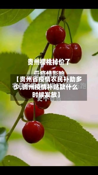 【贵州省疫情农民补助多少,贵州疫情补贴款什么时候发放】-第2张图片