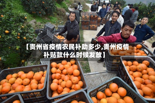 【贵州省疫情农民补助多少,贵州疫情补贴款什么时候发放】-第3张图片