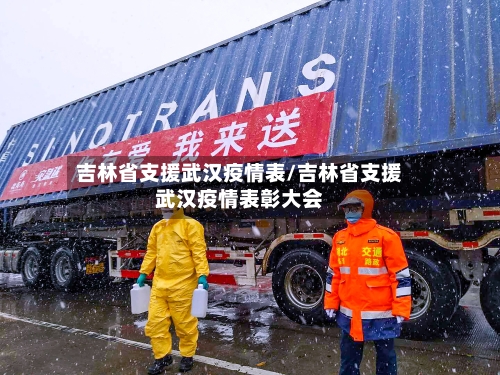 吉林省支援武汉疫情表/吉林省支援武汉疫情表彰大会-第3张图片