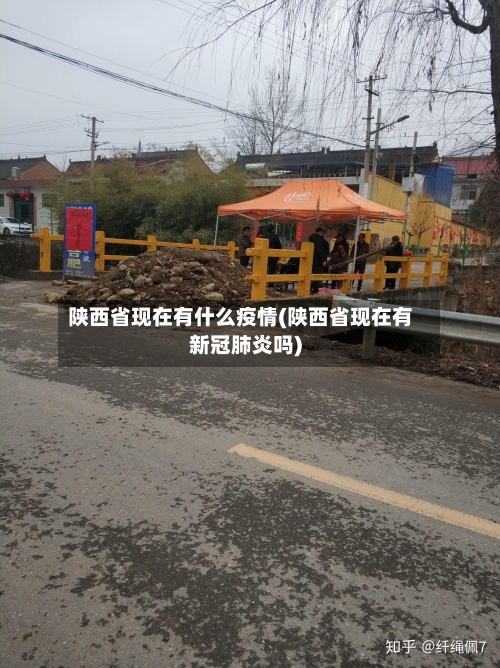 陕西省现在有什么疫情(陕西省现在有新冠肺炎吗)-第1张图片