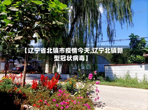 【辽宁省北镇市疫情今天,辽宁北镇新型冠状病毒】-第2张图片