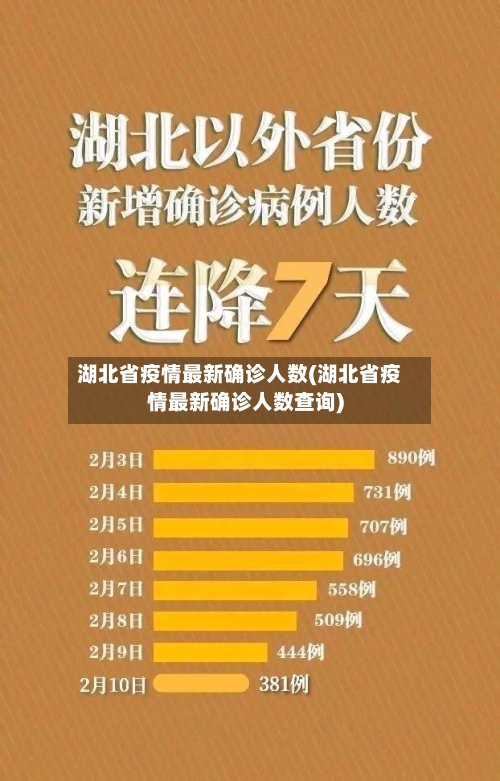 湖北省疫情最新确诊人数(湖北省疫情最新确诊人数查询)-第1张图片