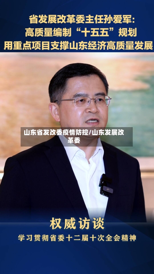 山东省发改委疫情防控/山东发展改革委-第2张图片