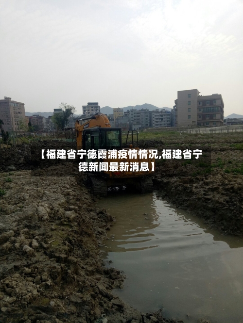 【福建省宁德霞浦疫情情况,福建省宁德新闻最新消息】-第1张图片