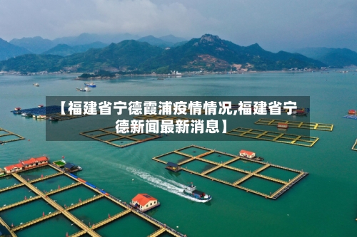 【福建省宁德霞浦疫情情况,福建省宁德新闻最新消息】-第2张图片