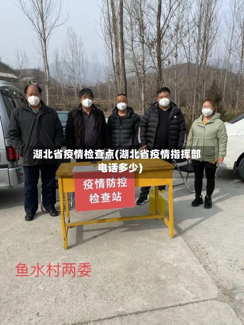 湖北省疫情检查点(湖北省疫情指挥部电话多少)-第2张图片