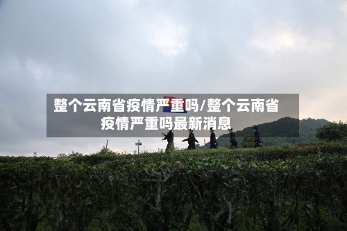整个云南省疫情严重吗/整个云南省疫情严重吗最新消息-第3张图片