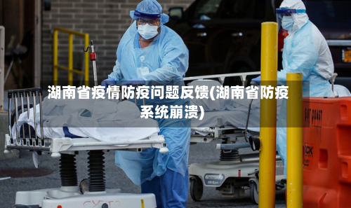 湖南省疫情防疫问题反馈(湖南省防疫系统崩溃)-第2张图片