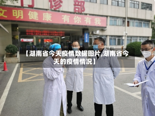 【湖南省今天疫情数据图片,湖南省今天的疫情情况】-第1张图片