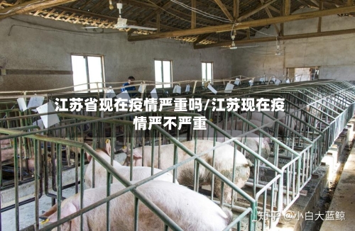 江苏省现在疫情严重吗/江苏现在疫情严不严重-第3张图片