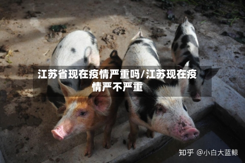江苏省现在疫情严重吗/江苏现在疫情严不严重-第2张图片