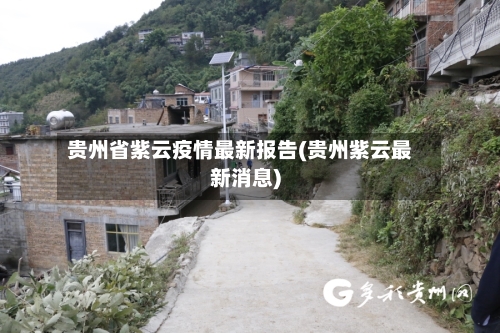 贵州省紫云疫情最新报告(贵州紫云最新消息)-第3张图片