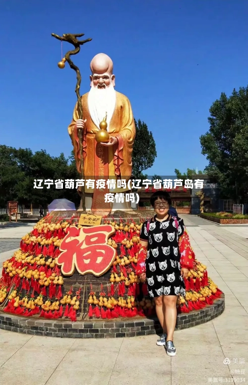 辽宁省葫芦有疫情吗(辽宁省葫芦岛有疫情吗)-第2张图片