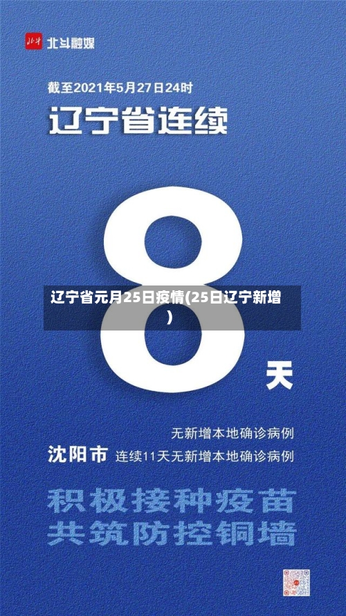 辽宁省元月25日疫情(25日辽宁新增)-第1张图片