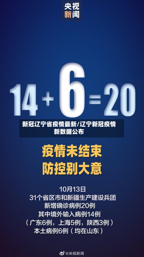 新冠辽宁省疫情最新/辽宁新冠疫情新数据公布-第2张图片