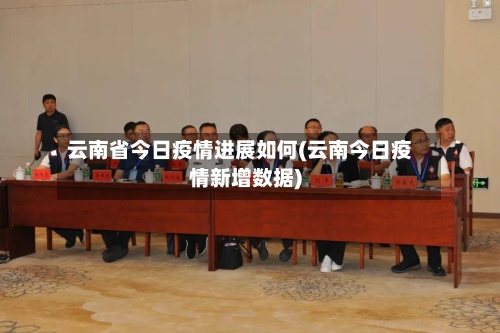 云南省今日疫情进展如何(云南今日疫情新增数据)-第2张图片