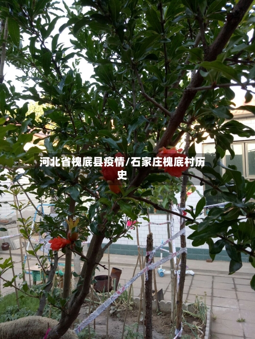 河北省槐底县疫情/石家庄槐底村历史-第2张图片