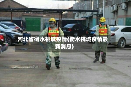 河北省衡水桃城疫情(衡水桃城疫情最新消息)-第1张图片