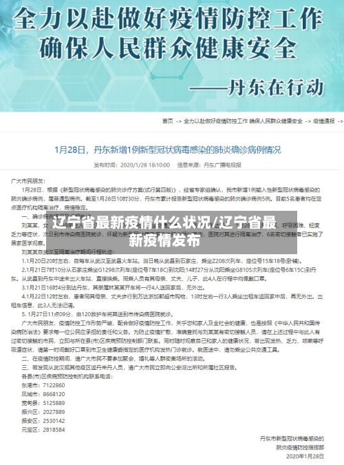 辽宁省最新疫情什么状况/辽宁省最新疫情发布-第2张图片