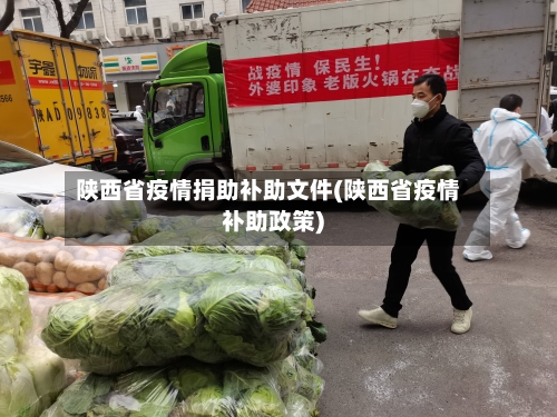 陕西省疫情捐助补助文件(陕西省疫情补助政策)-第1张图片